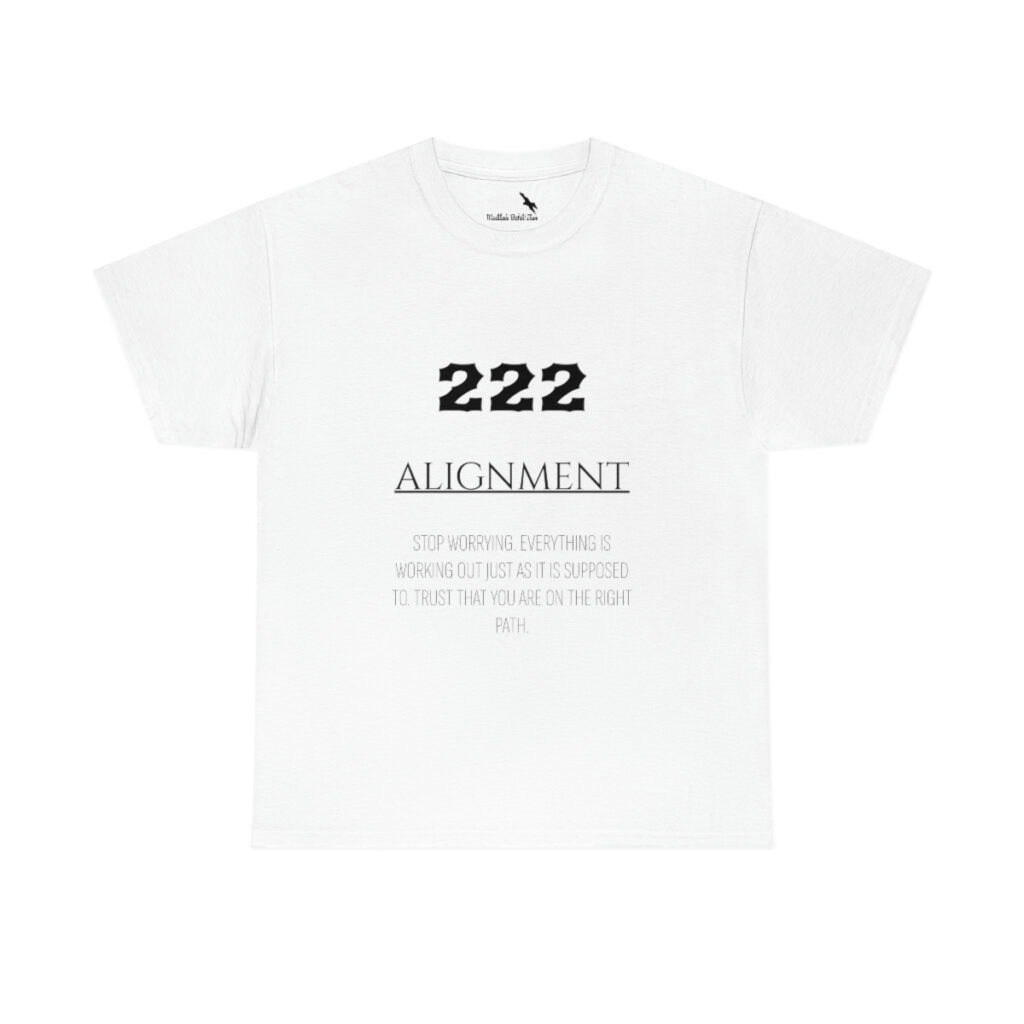 Angel Number 222 ALIGNMENT