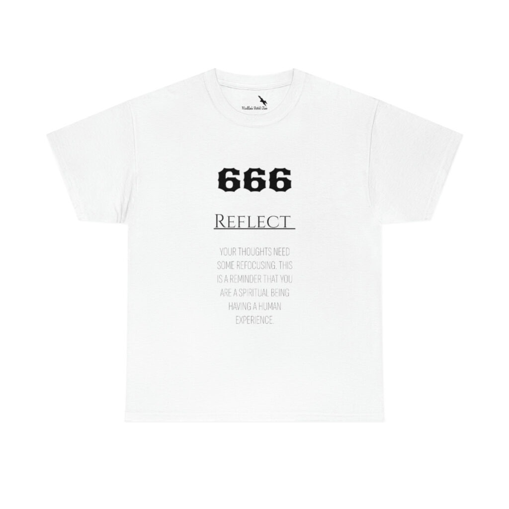 Angel Number 666 REFLECT
